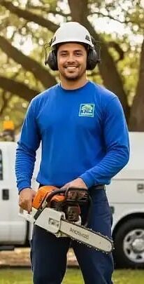 Professional tree service crew performing tree work in Palm Beach County Florida
